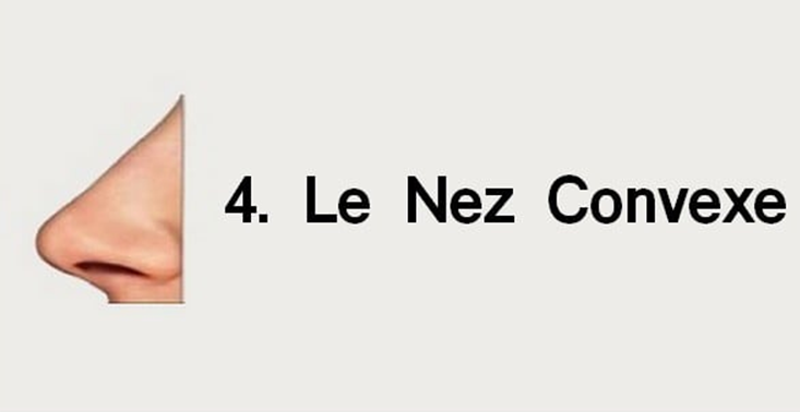 nez convexe