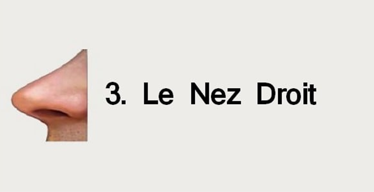 Nez droit