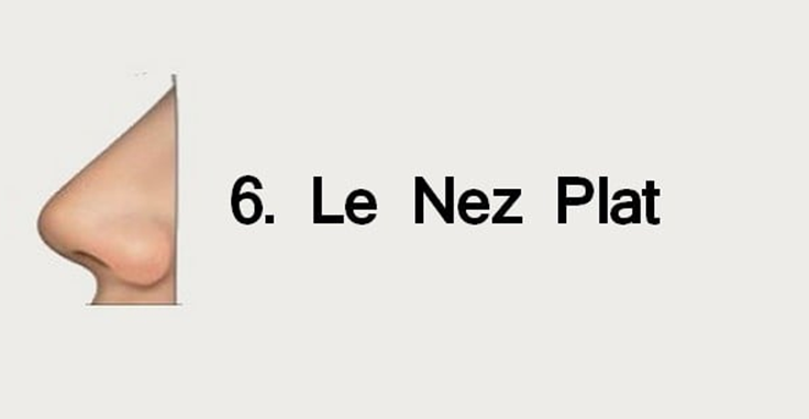 nez plat