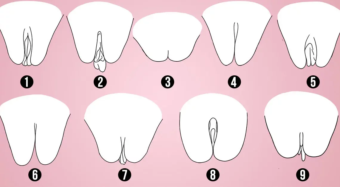 Les 9 différents types de vagin : Guide complet 2023