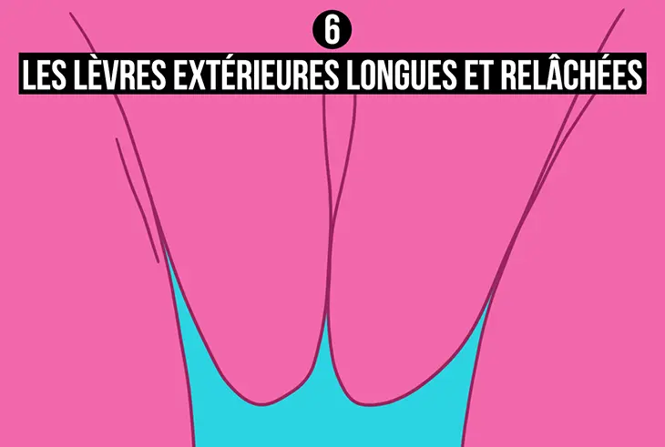 Les lèvres extérieures longues et relâchées