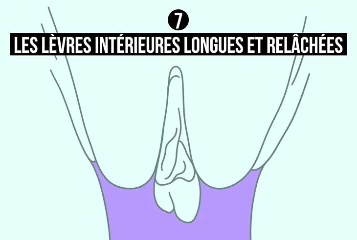 Les lèvres intérieures longues et relâchées