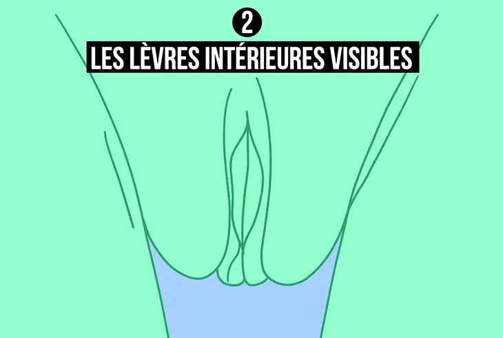 Levres-interieures-visibles